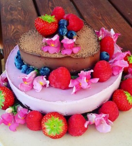 foodblog-befresh-recepty-vanilkova-jahodova-cokoladova-torta-raw-sladkosti