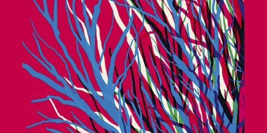 kniha Topografia bolesti